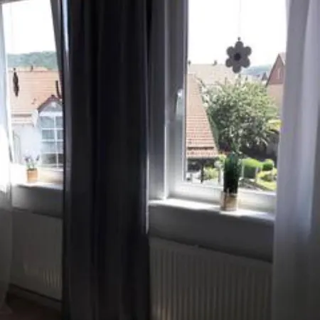 Apartment Pusteblume In Wolfshagen Im Harz Langelsheim