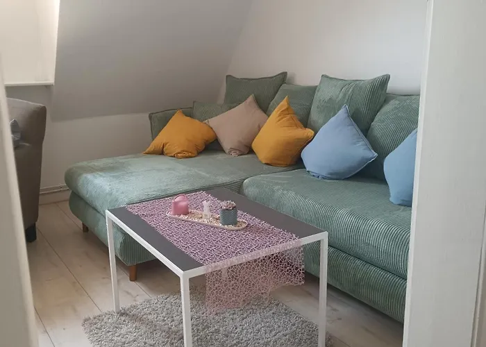 Pusteblume In Wolfshagen Im Harz *